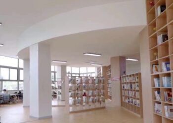 新东方学校（郑州）