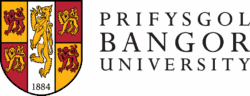 班戈大学
